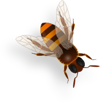 bee