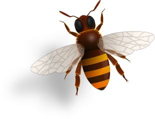 bee